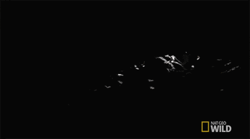 Bat Cave The Bat Gauntlet GIF