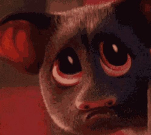 Bat Sad GIF