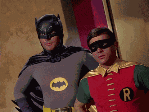 Batman Catwoman GIF