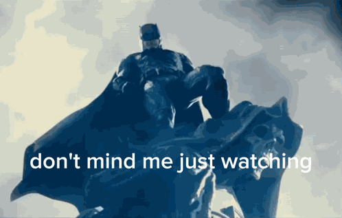 Batman Don'T Mind Me Just Watching GIF