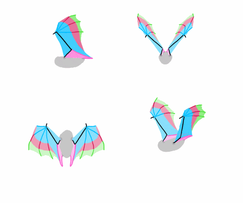 Bats Wings GIF