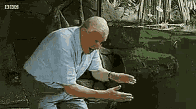 Bbc Guy Big Schlong GIF