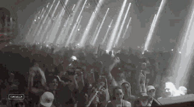 Beach Ball Coachella GIF