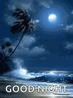 Beach Good Night GIF