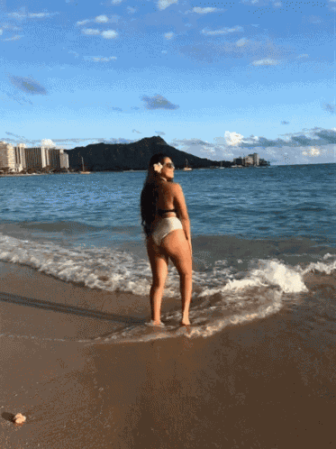 Beach Hawaii GIF