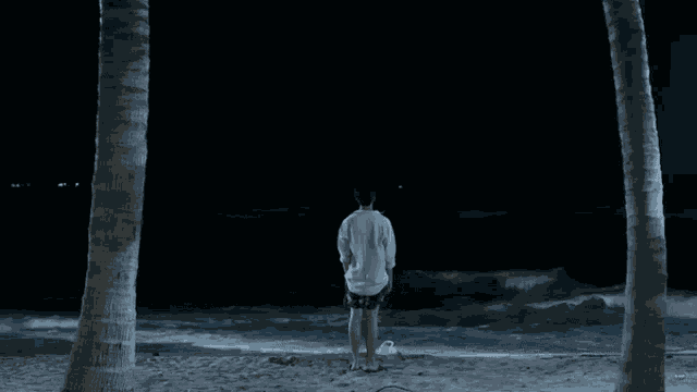 Beach Lonely GIF
