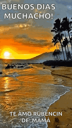 Beach Ocean GIF