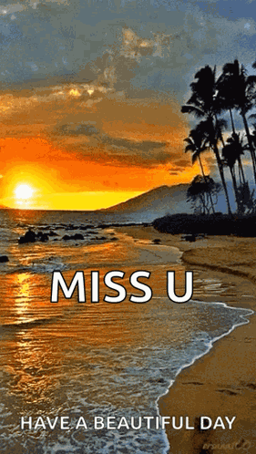 Beach Ocean GIF