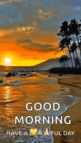 Beach Ocean GIF