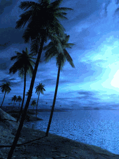 Beach Palm Trees GIF