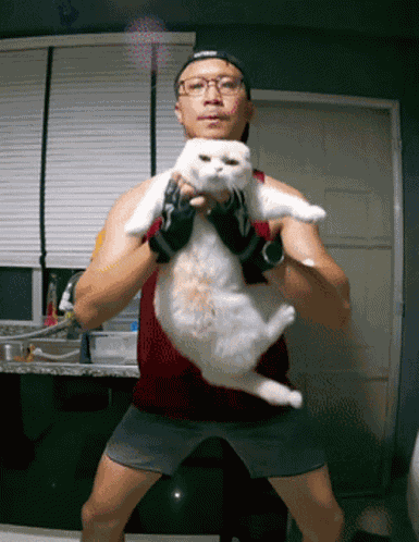 Beagle Fat Cat Squat GIF