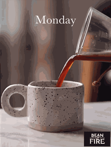 Bean Of Fire Bitcoin Coffee GIF