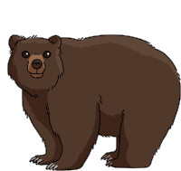 Bear Brown Bear Sticker