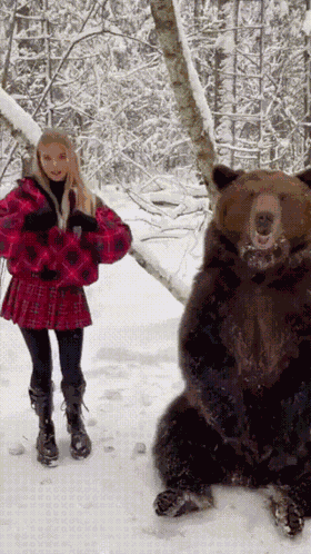 Bear Dance GIF