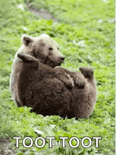 Bear Fanny GIF