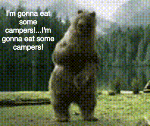 Bear Funny GIF