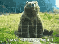 Bear Hello GIF