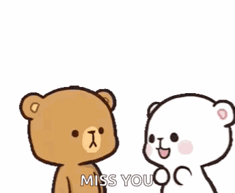 Bear Love You GIF
