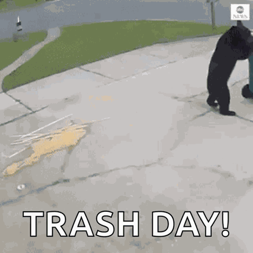Bear Trash GIF