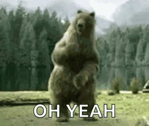 Bear Vodka Dance GIF