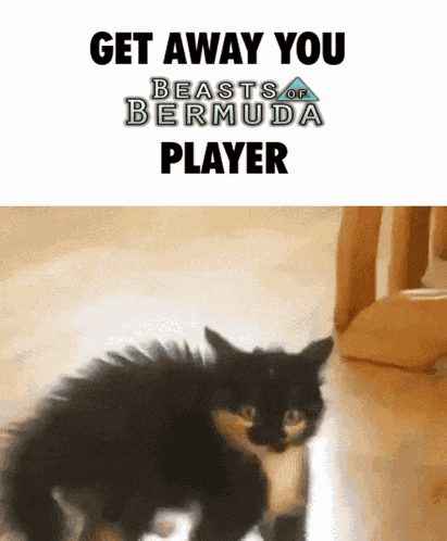 Beasts Of Bermuda Bob GIF