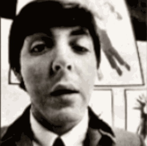 Beatlestwt The Beatles GIF