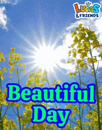 Beautiful Day GIF