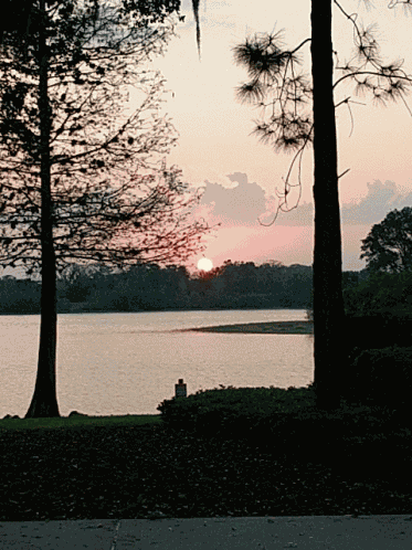 Beautiful Day GIF