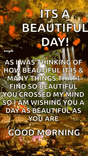 Beautiful Day Waterfalls GIF