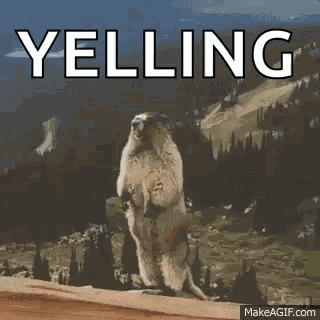 Beaver Yelling GIF