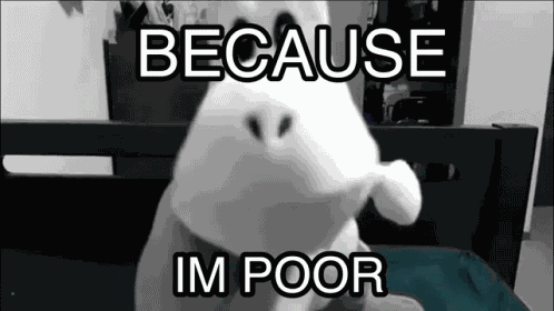 Because Im Poor GIF