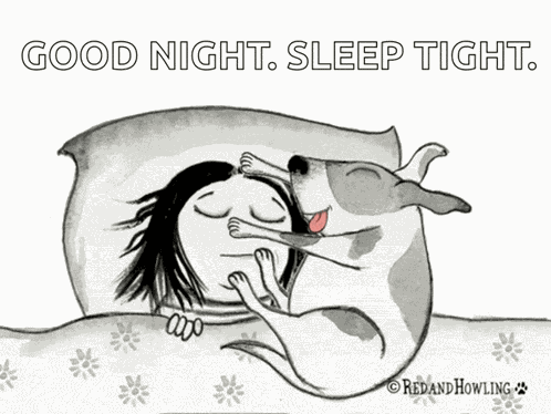 Bedtime Dog GIF