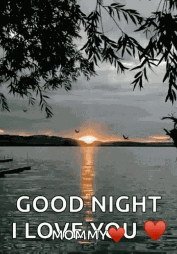 Bedtime Go To Bed GIF