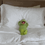 Bedtime Kermit The Frog Meme