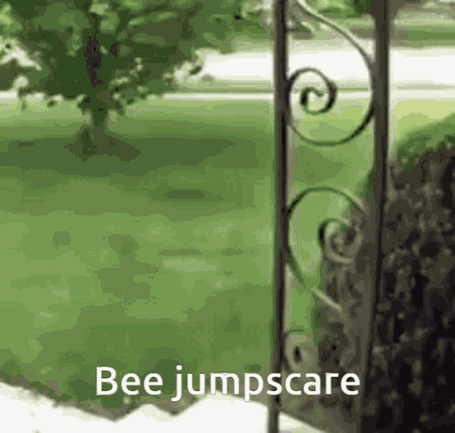 Bee Jumpscare Bee GIF