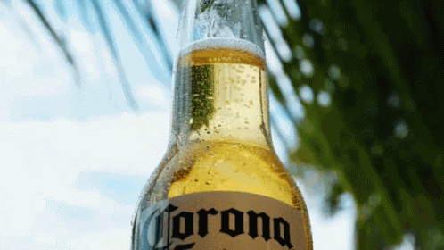 Beer Beers GIF