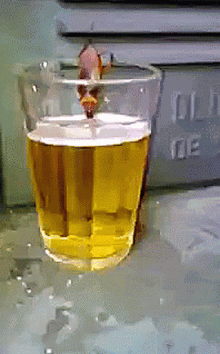Beer Cockroach GIF