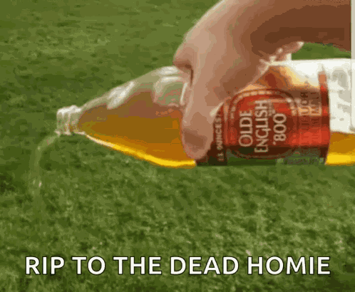 Beer Pour GIF