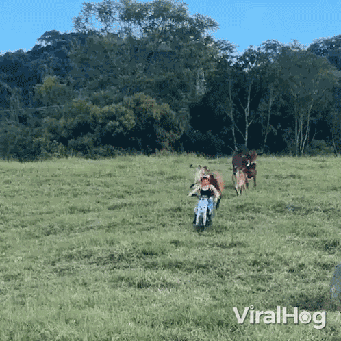 Being Chased Viralhog GIF