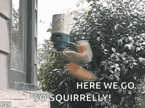 Being Squirrelly So Squirrelly GIF