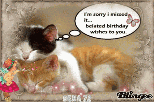Belated Happy Birthday Cat GIF