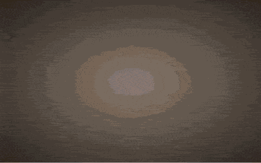 Bellycarty00 Bellymichelley00 GIF