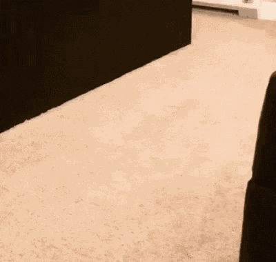 Belt Slither GIF