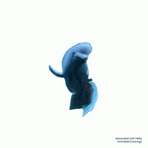 Beluga Whale Dance GIF