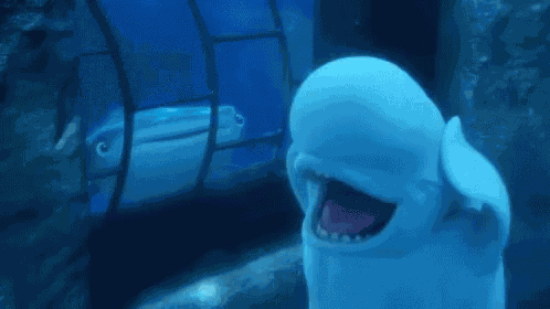 Beluga Whale Finding Dory GIF