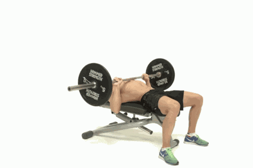 Bench Press GIF