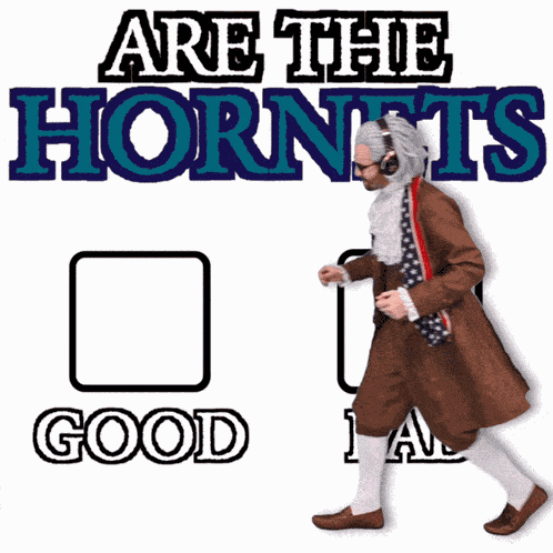 Benjammins Hornets Lose GIF