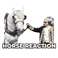 Benjammins Stallion Sticker