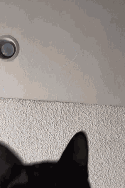 Benny Bennymylove GIF