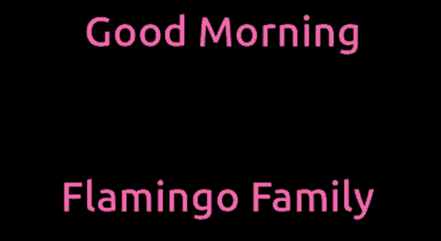 Benny Shilling Flamingo Family Good Morning Good Morning Flamingos GIF